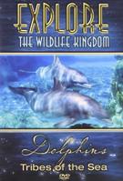 Dolphins Tribes of the Sea