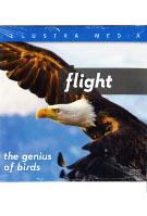 Flight The Genius of Birds QS