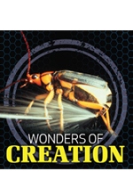 Wonders of Creation DVD